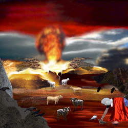 Die Bibel